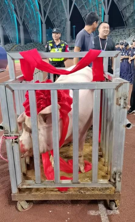 重达, 整个赛事不, src 重达, 整个赛事不, src